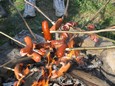 Náhled 8
