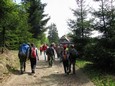 Náhled 56