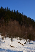 Náhled 3