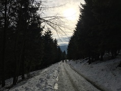 Náhled 13