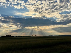 Náhled 16